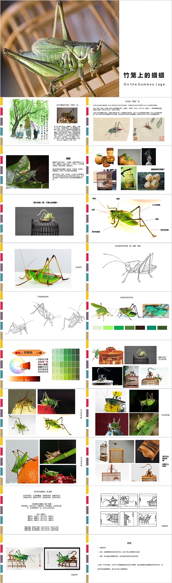 创意精美竹笼上的蝈蝈美术PPT课件