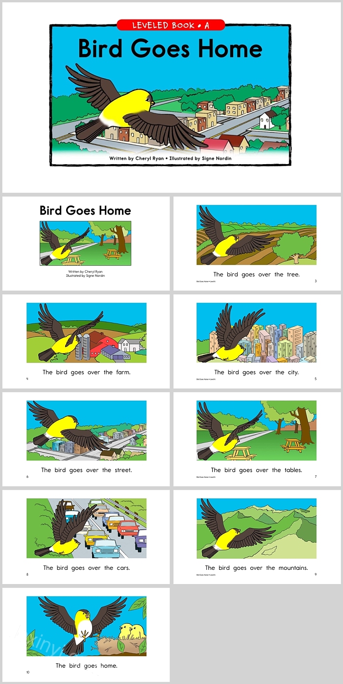 鸟儿回家《Bird Goes Home》英文绘本故事PPT课件