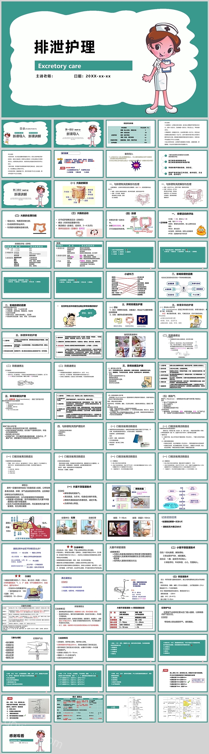 排泄护理教学排便有关的解剖与生理PPT模板