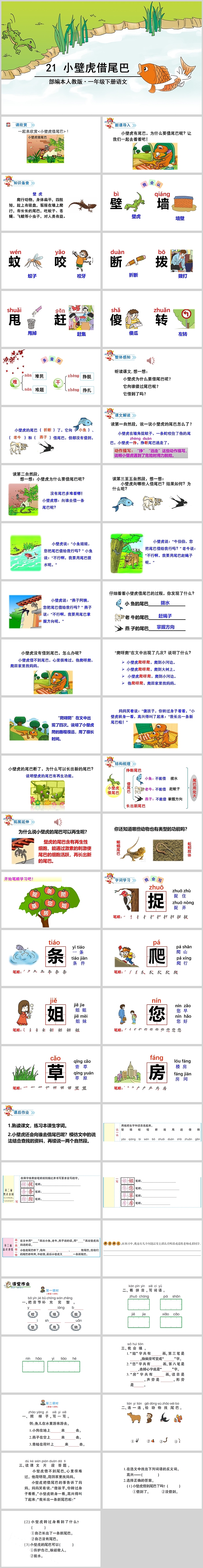 小壁虎结尾吧教育绘本故事PPT