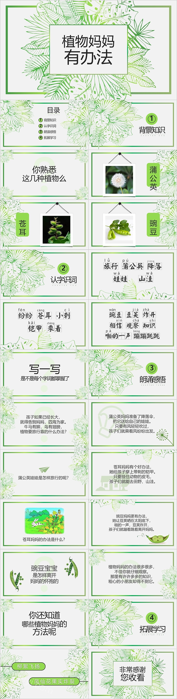 创意清新小学四年级语文植物妈妈有办法PPT课件