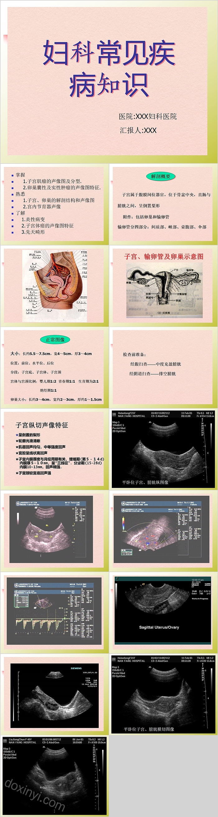 妇科常见疾病知识护理学习PPT课件