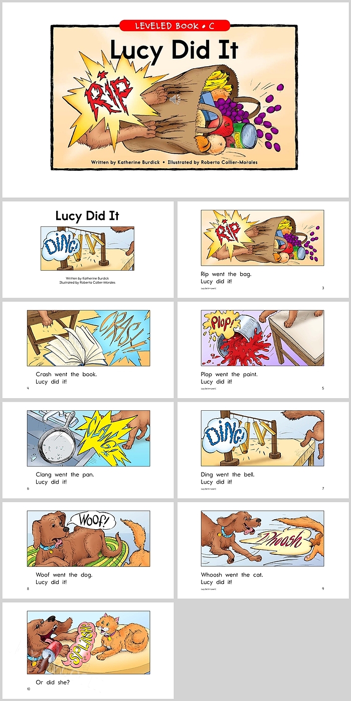 Lucy Did It英文绘本故事PPT课件