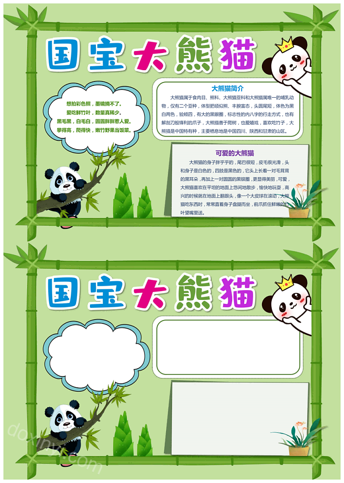 绿色卡通关于保护珍稀动物国宝大熊猫简介手抄报模板图片及文字内容资料