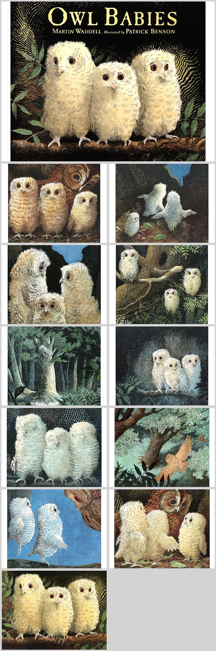 清晰创意英文绘本故事owl babiesPPT