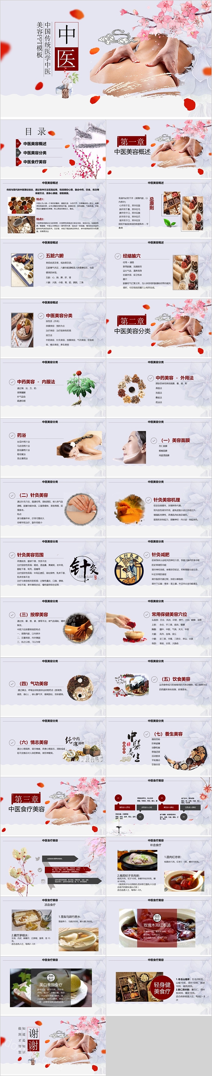 中国传统医学中医美容模板