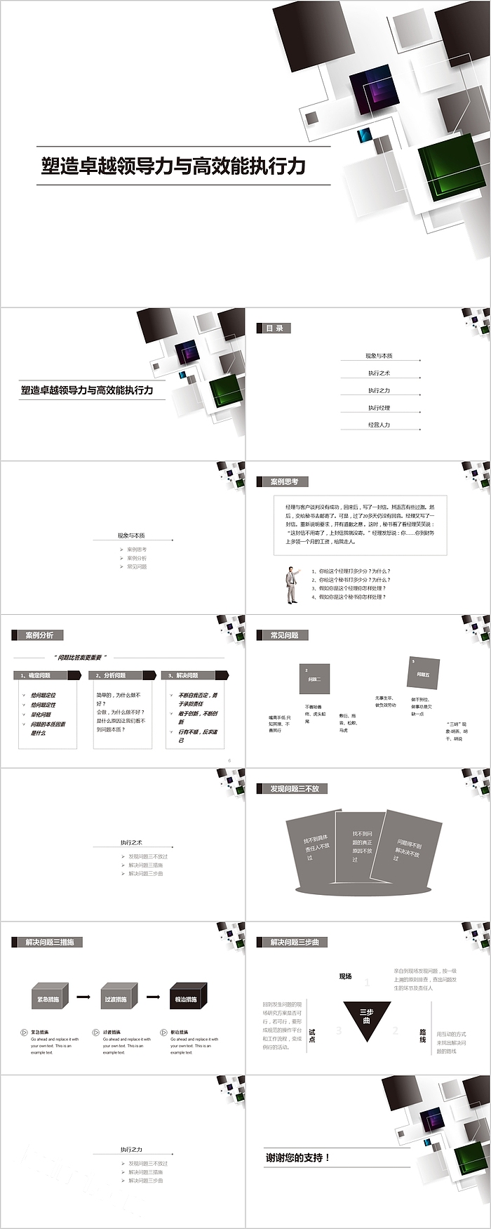 塑造卓越领导力与高效能执行力PPT模板