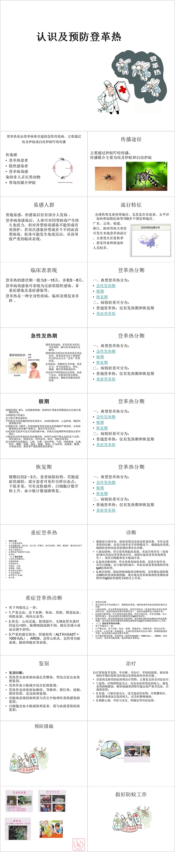 简约清新认识及预防登革热PPT模板