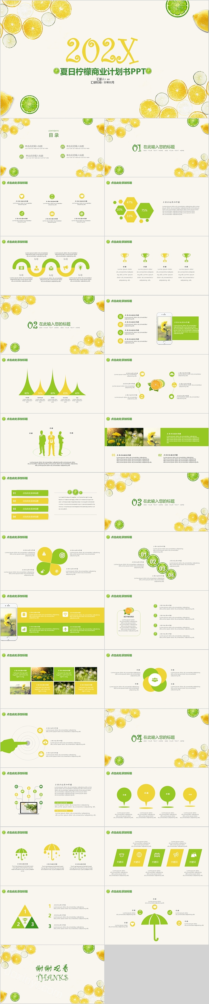 夏日柠檬商业计划书PPT模板