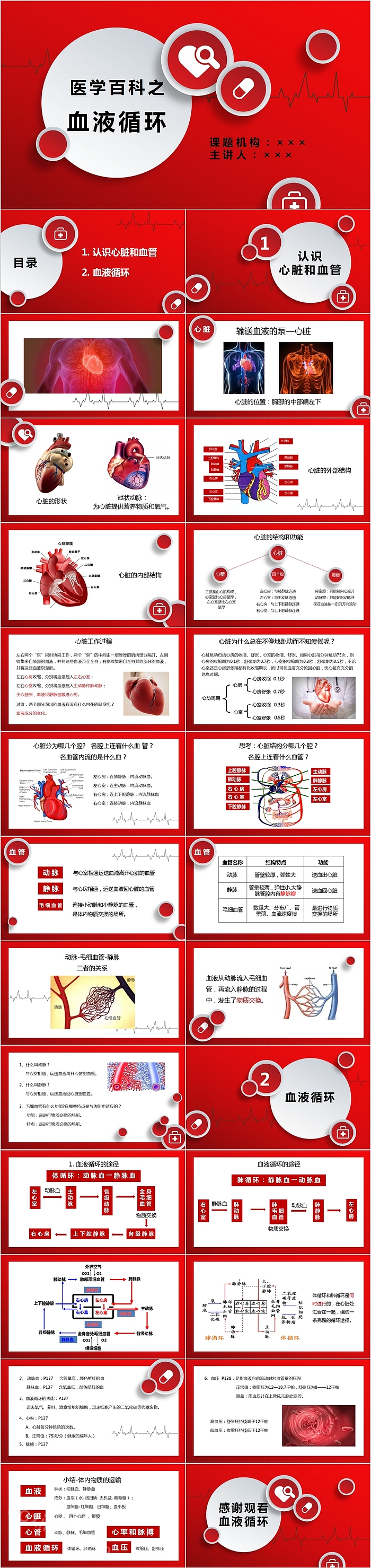 医学百科之血液循环PPT模板