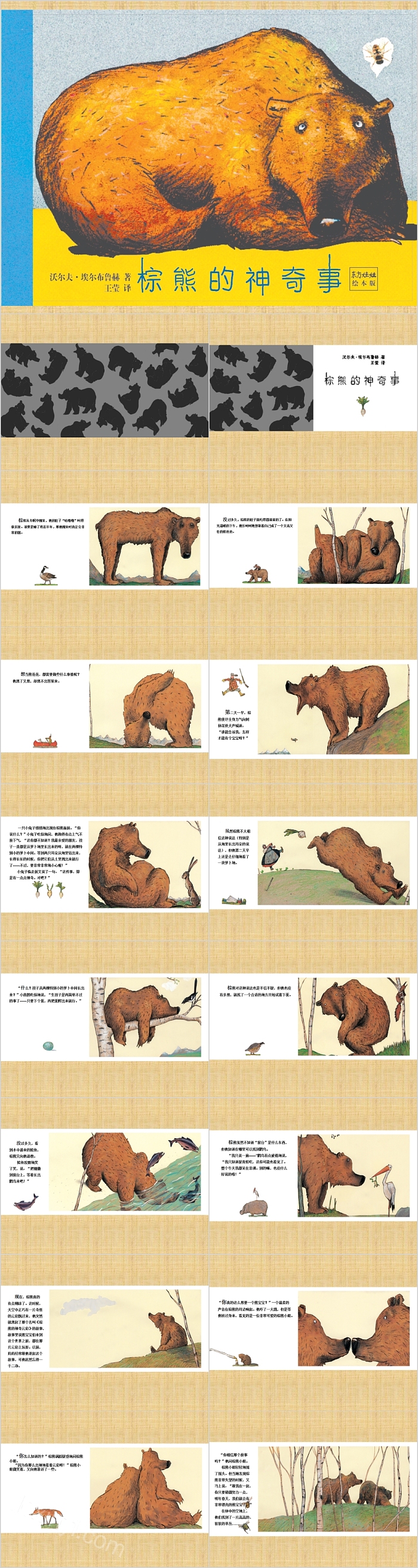棕熊的神奇事幼儿园绘本故事
