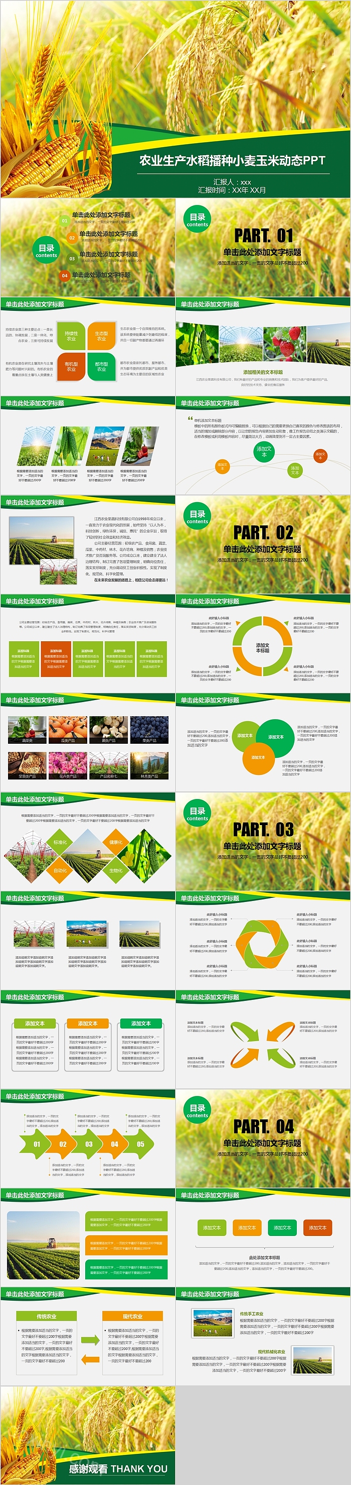 农业生产水稻播种小麦玉米动态PPT模板