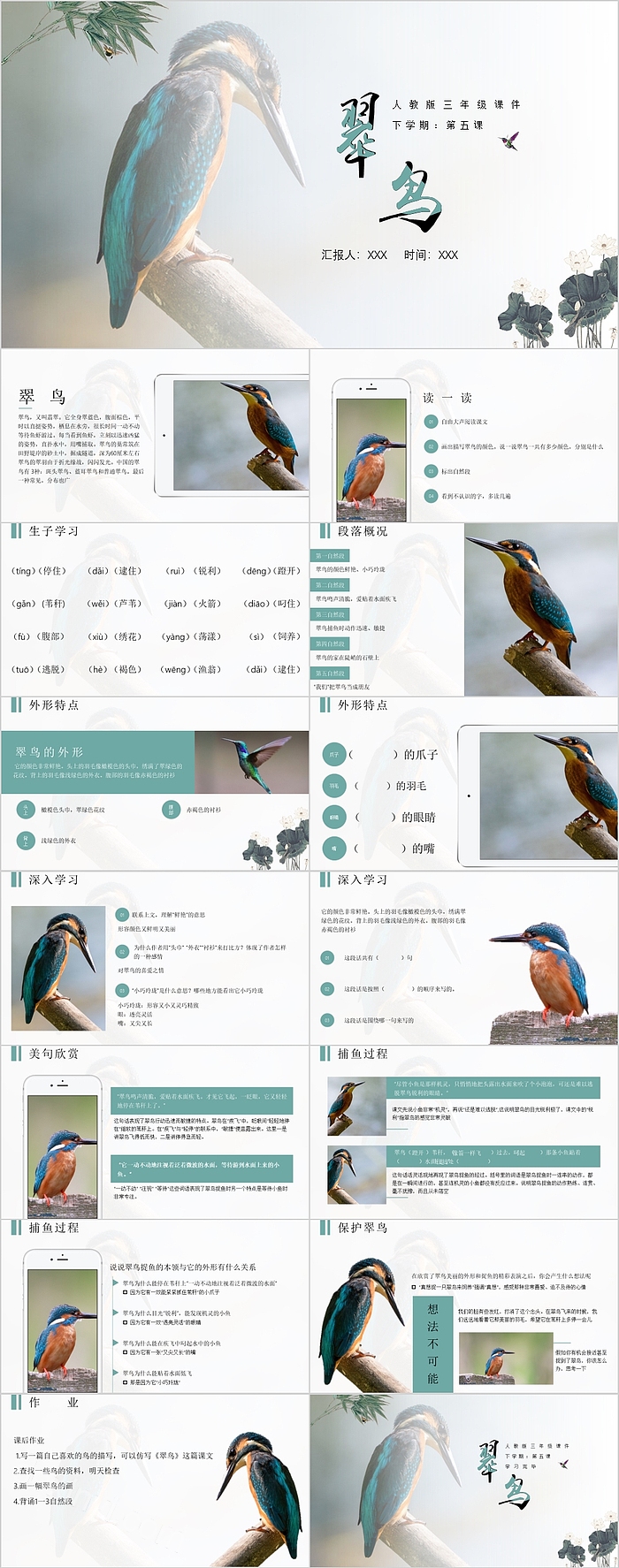 人教版三年级第五课翠鸟课件ppt模板